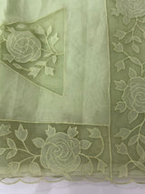 Viscose Organza saree with applique work-MSH101 PistaGreen