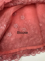 Soft Organza saree with embroidery borders - MSH299
