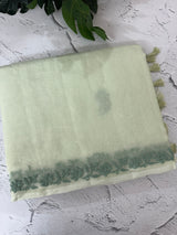 Premium Moonga checks saree with Hand Chikankari work MSH246 Pista