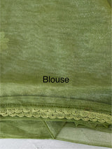 Glass tissue organza saree with embroidery MSF121 DustyGreen(2)