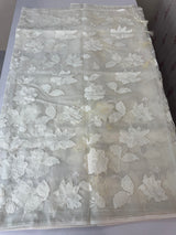 Semi organza saree with appliqué work - MSH989 OffWhite
