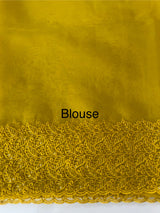 Soft Organza saree with embroidery borders - MSH299