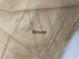 Handworked Organza saree and blouse MCW376 Beige