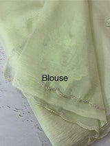 Crush Organza saree with applique work MBS676 PastelMintGreen