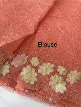 Soft Organza saree with thread work and tissue applique borders - MCW605