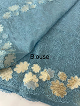 Soft Organza saree with thread work and tissue applique borders - MCW605
