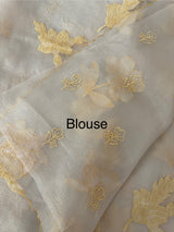 Shimmer Crush Organza saree with applique work MBS698