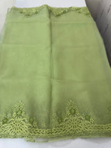 Cutwork Glass organza saree with Blouse MOS453