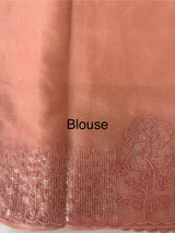 Semi Organza saree with applique and sequence borders - MCW699 Peach