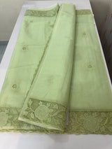 Viscose Organza saree with applique work-MSH101 PistaGreen