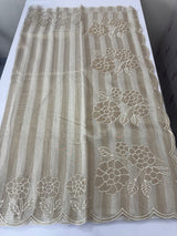 Tissue chanderi saree with applique work MSH175