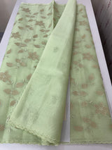 Viscose Organza saree with applique work-MSH238 PastelPista