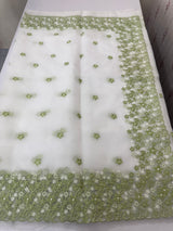 Soft Organza saree with embroidery borders - MCW895
