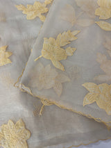 Shimmer Crush Organza saree with applique work MBS698
