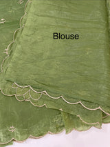 Soft crush Organza saree with embroidery and applique work MS14764