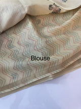 Tissue tussar saree with french knots, sequence and bead work - MS19965 (1)