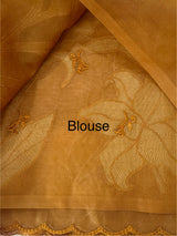 Semi organza saree with appliqué work - MSH906 DuskyOrange(1)