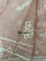 Crush Tissue Organza saree with embroidery - MS14799 PastelPeach