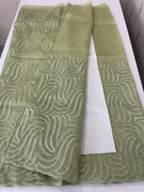 Glass organza saree with thread work- MOS351 PastelGreen