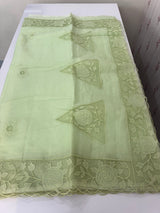 Viscose Organza saree with applique work-MSH101 PistaGreen
