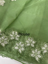 Soft organza saree with sequins cutwork borders- MCW541 - Green
