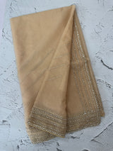 Handworked Organza saree and blouse MCW376 Beige
