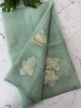 Soft Organza tissue Applique work saree MSLK116