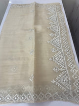 Tissue Organza saree with Kutch hand embroidery and mirror work - MS14799 Beige