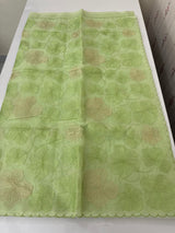 Viscose organza saree with thread work - MSH925 PastelGreen