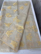 Shimmer Crush Organza saree with applique work MBS698