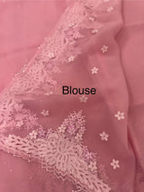 Cutwork Glass organza saree with Blouse MOS453