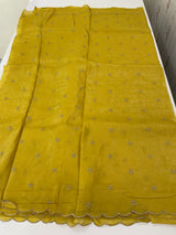 Soft crush Organza saree with embroidery and applique work MS14764
