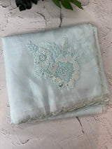Crush Organza saree with applique work MBS676 PastelBlue