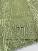 Glass organza saree with thread work- MOS351 PastelGreen