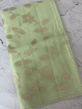 Viscose Organza saree with applique work-MSH238 PastelPista