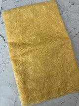 Glass Organza saree with thread work - MCW889