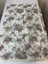 Handworked chiffon Organza saree MCS4534