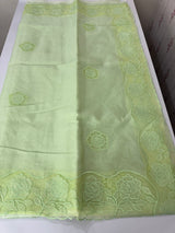 Viscose Organza saree with applique work-MSH101 (2) PistaGreen