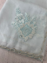 Crush Organza saree with applique work MBS676 PastelBlue