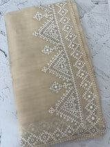 Tissue Organza saree with Kutch hand embroidery and mirror work - MS14799 Beige
