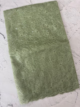 Glass Organza saree with thread work - MCW889