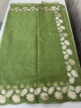 Soft Organza saree with thread work and tissue applique borders - MCW605