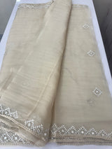 Tissue Organza saree with Kutch hand embroidery and mirror work - MS14799 Beige