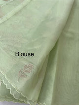Viscose Organza saree with applique work-MSH238 PastelPista