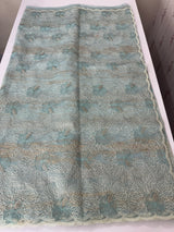 Premium Crush Organza saree with thread work- MCW863 PastelBlue