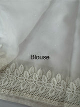 Soft Organza saree with cutwork borders and sequins work - MOS4551