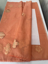Soft Organza tissue Applique work saree MSLK116