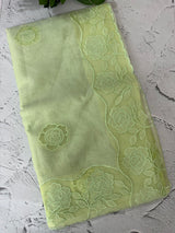 Viscose Organza saree with applique work-MSH101 (2) PistaGreen