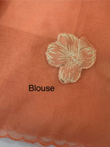 Soft Organza tissue Applique work saree MSLK116