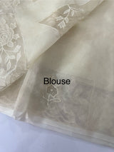 Viscose Organza saree with applique work-MSH101 Ivory
